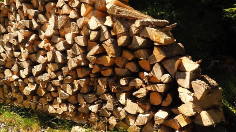 Le bois de chauffage à 40 euros le stère