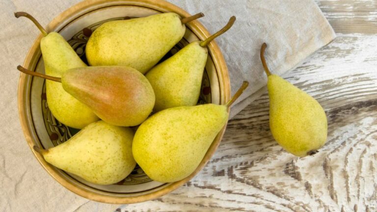 Cuire des poires pas mûres